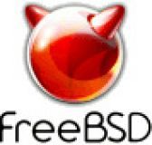 FreeBSD видео