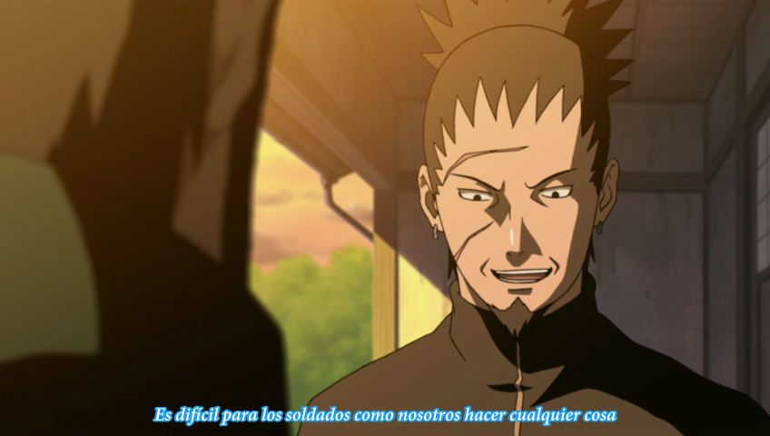 Imagen IPB
