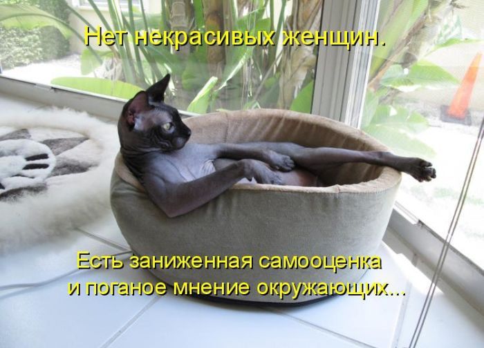 http://i1.imageban.ru/out/2011/09/23/a0486086378b24f6c10aa068ee230386.jpg