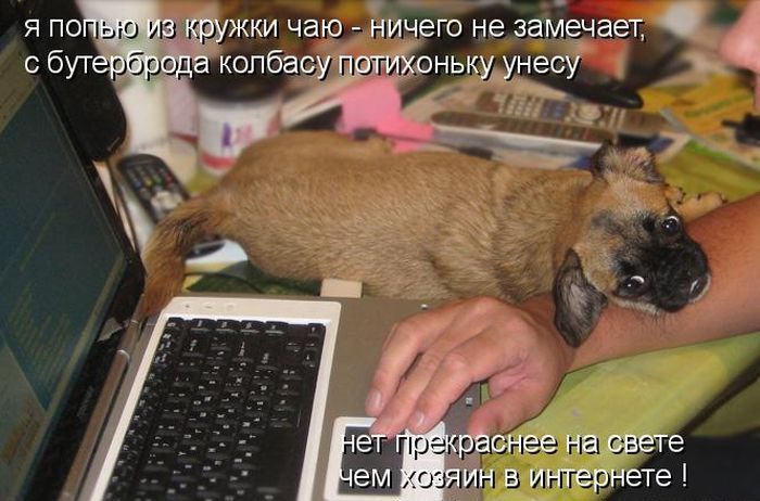 http://i1.imageban.ru/out/2011/09/23/c834beb887ffc9864647007d7c8cbed7.jpg