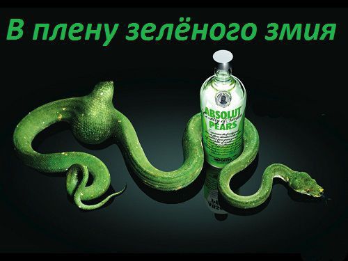 В плену зелёного змия