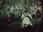 Майская ночь, или утопленница (1952) DVDRip