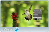 ZD Soft Screen Recorder 10.1 RePack (& Portable) by KpoJIuK (x86-x64) (14.10.2016) Multi/Rus ZD Soft Screen Recorder 10.1 RePack (& Portable) by KpoJIuK (x86-x64) (14.10.2016) Multi/Rus