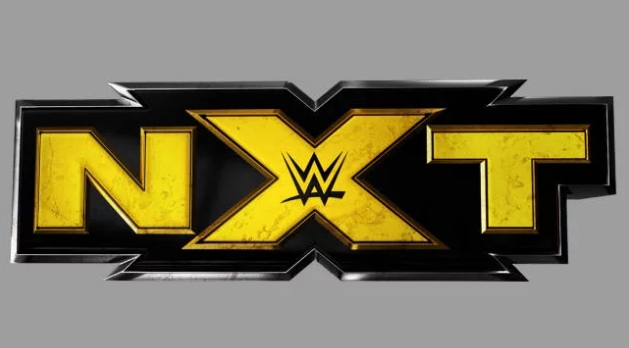 Еще одно увольнение в NXT