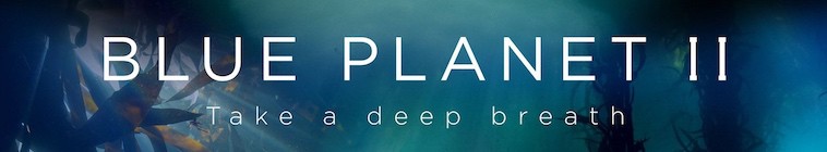 Blue Planet II S01 2160p DTS-HD MA.5.1 HEVC REMUX-FraMeSToR Blue Planet II S01 2160p DTS-HD MA.5.1 HEVC REMUX-FraMeSToR