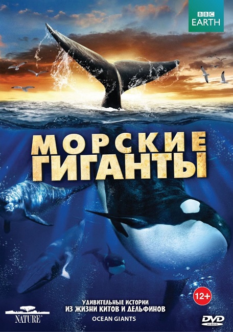BBC:   / Ocean Giants (2011) BDRemux 1080p | P2