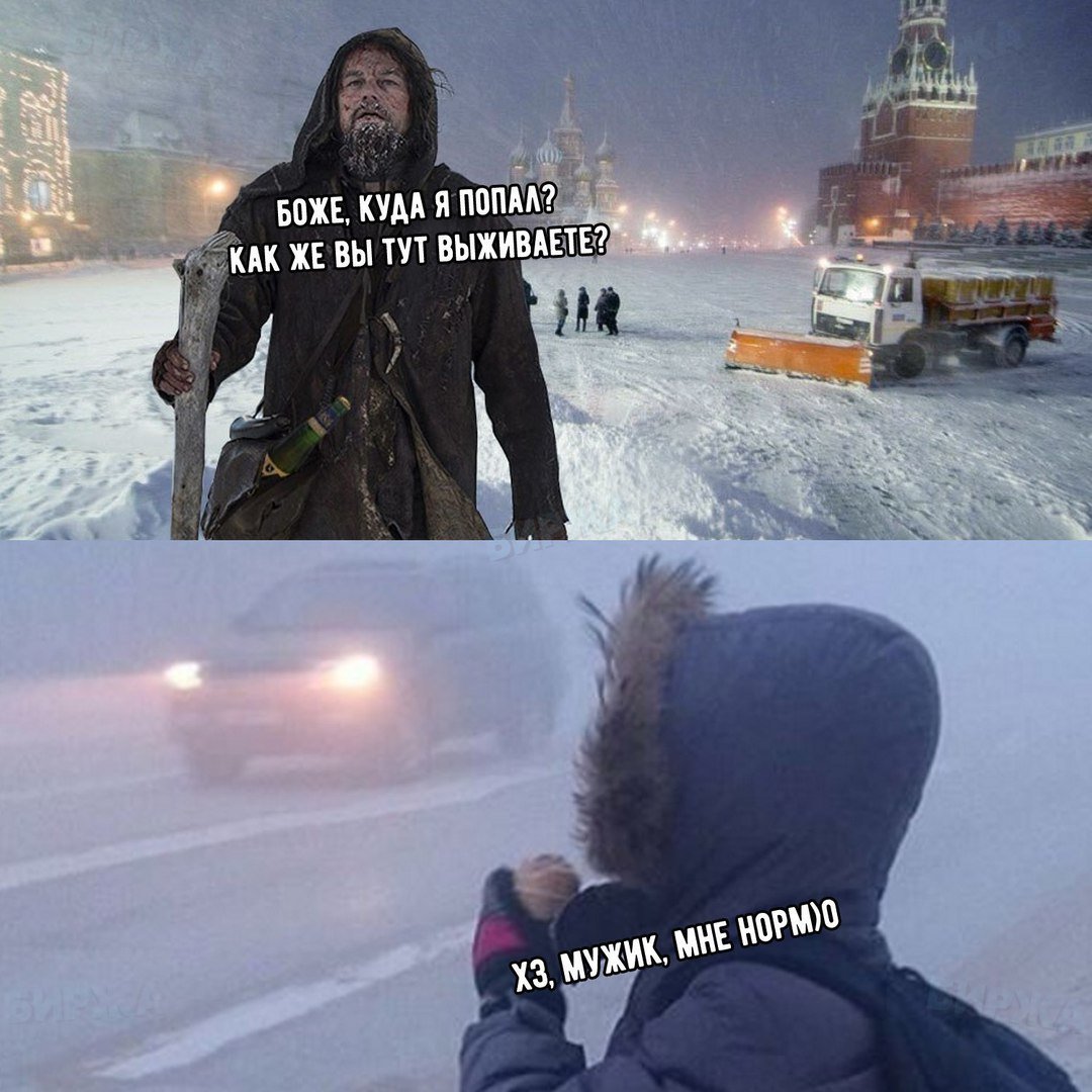 Сборка № 284 Сборка № 284