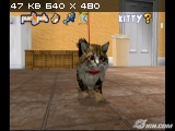 Purr Pals /2008/Wii/Multi 5