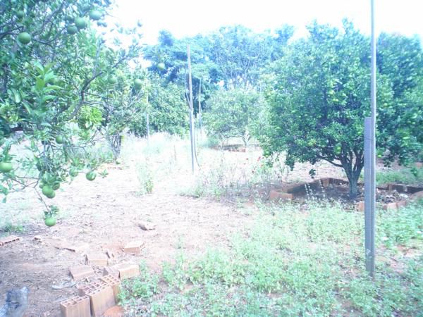 Fruit garden