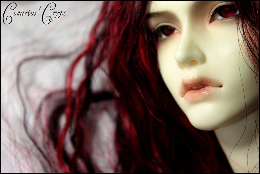 A_saturday_of_photos_12_by_Cenarius99.jpg