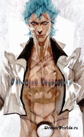 1212959747_grimmjow-167.jpg