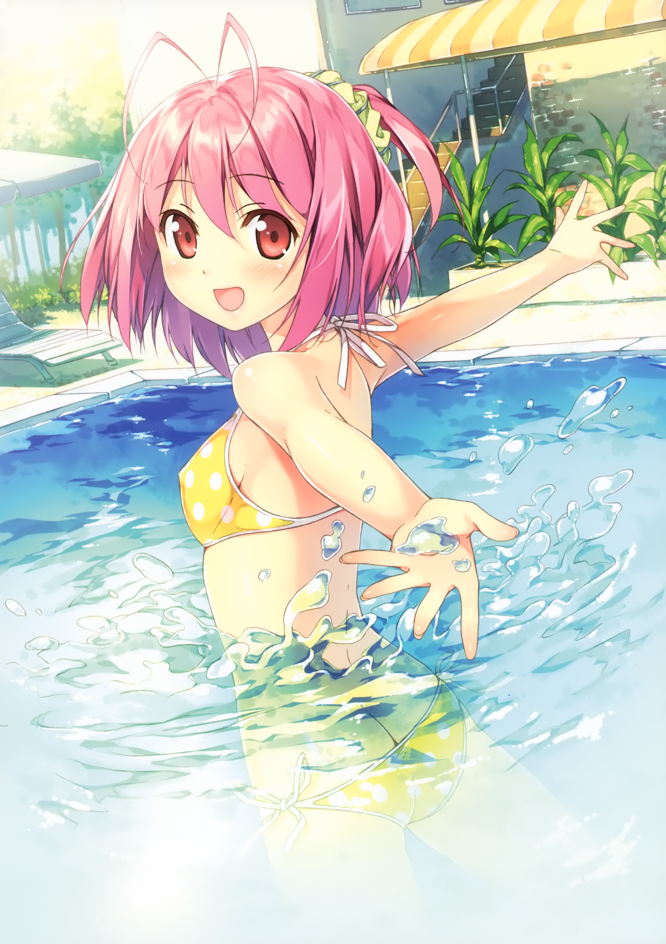 005.png