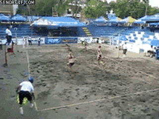 43fdbd03_1b27_63b6.gif