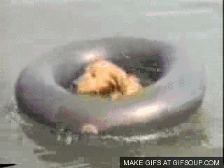 8fa59974a22c593dd124f52f6bcdf900.gif