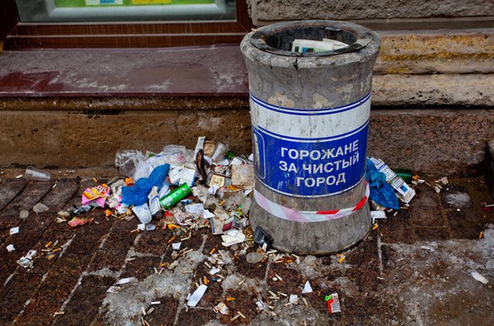 podborl9.jpg
