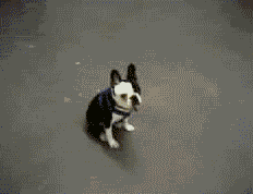 79cc2974f01074f20f1ba7b04e6fab61.gif