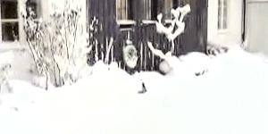 bb1221cd36a4d918b026012071d8d2b3.gif
