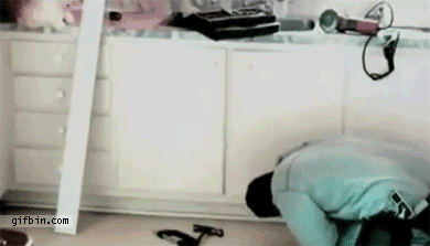 1306319585_kitten_owns_plumber.gif