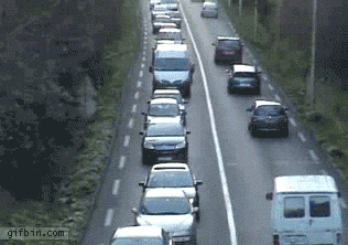 1307620123_rmi_gaillard__snail.gif