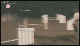 4a36e4_2236188.gif