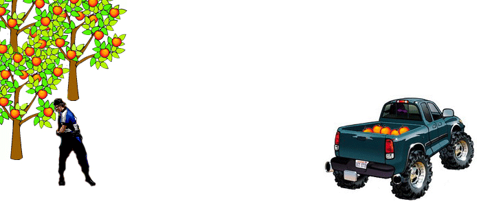 2.gif