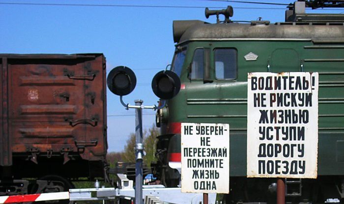 rfert454545_017.jpg