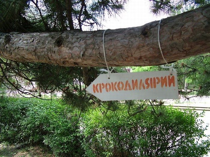 podbormK.jpg