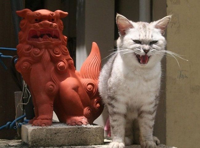 063.jpg