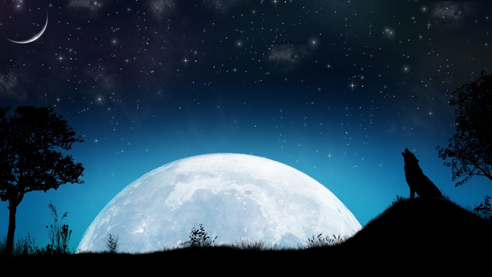 new_moon_by_gunnertracker-d484doc.jpg