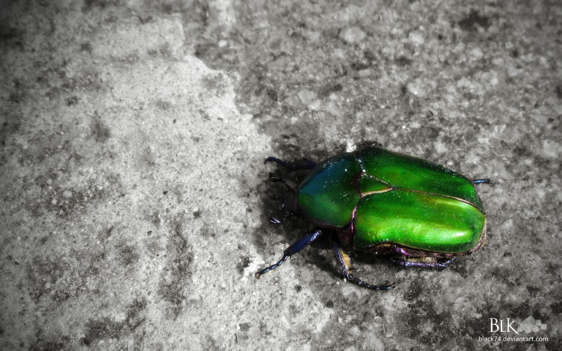 the flying emerald_2560x1600.jpg