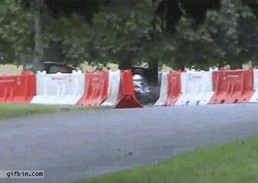 1319053032_seagull_hitches_race_car.gif