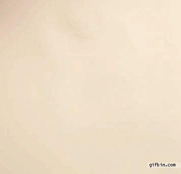 1319651700_amazing_water_ink_art.gif