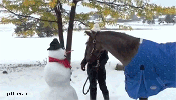 Новогодние лошади