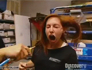 Giphy gifs stickers clips