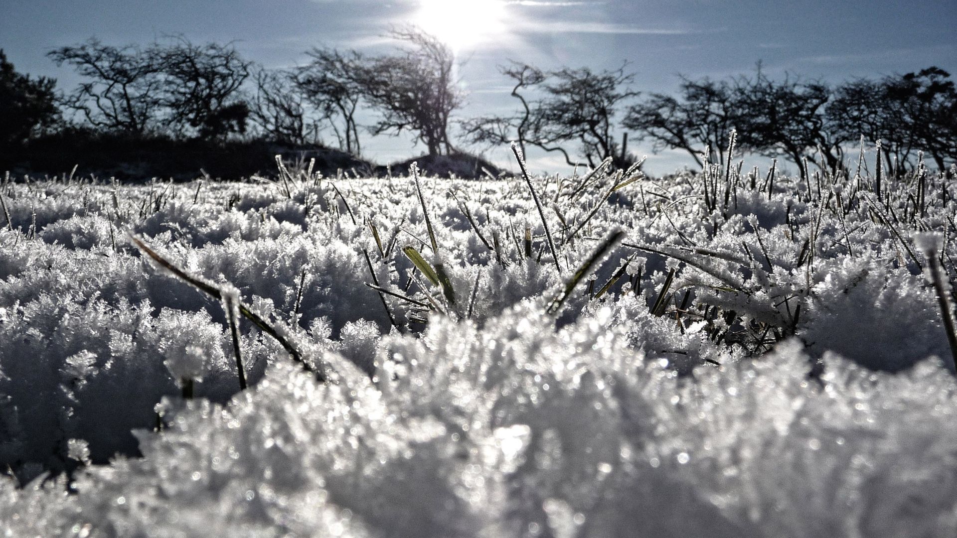 Иней на траве