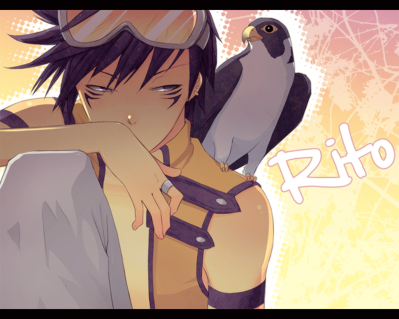 ianti___the_falcon_by_frzdragon-d3d7s79.png
