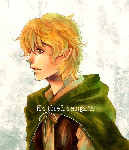 LOTR_Samwise_by_Ecthelian.jpg