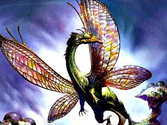 drakon 1(16).jpg