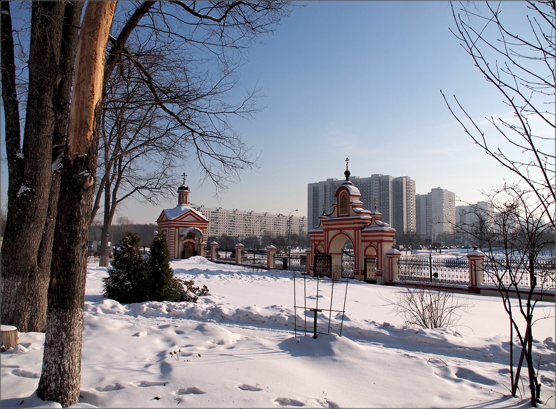 Парк в долгопрудном зимой