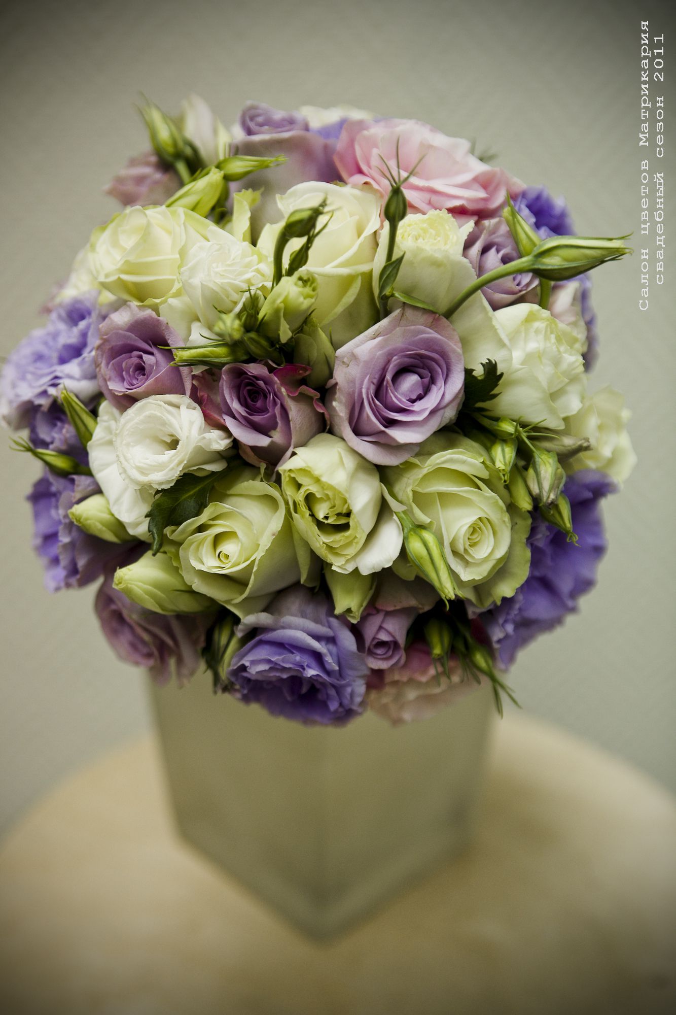IMG_7648 copy.jpg