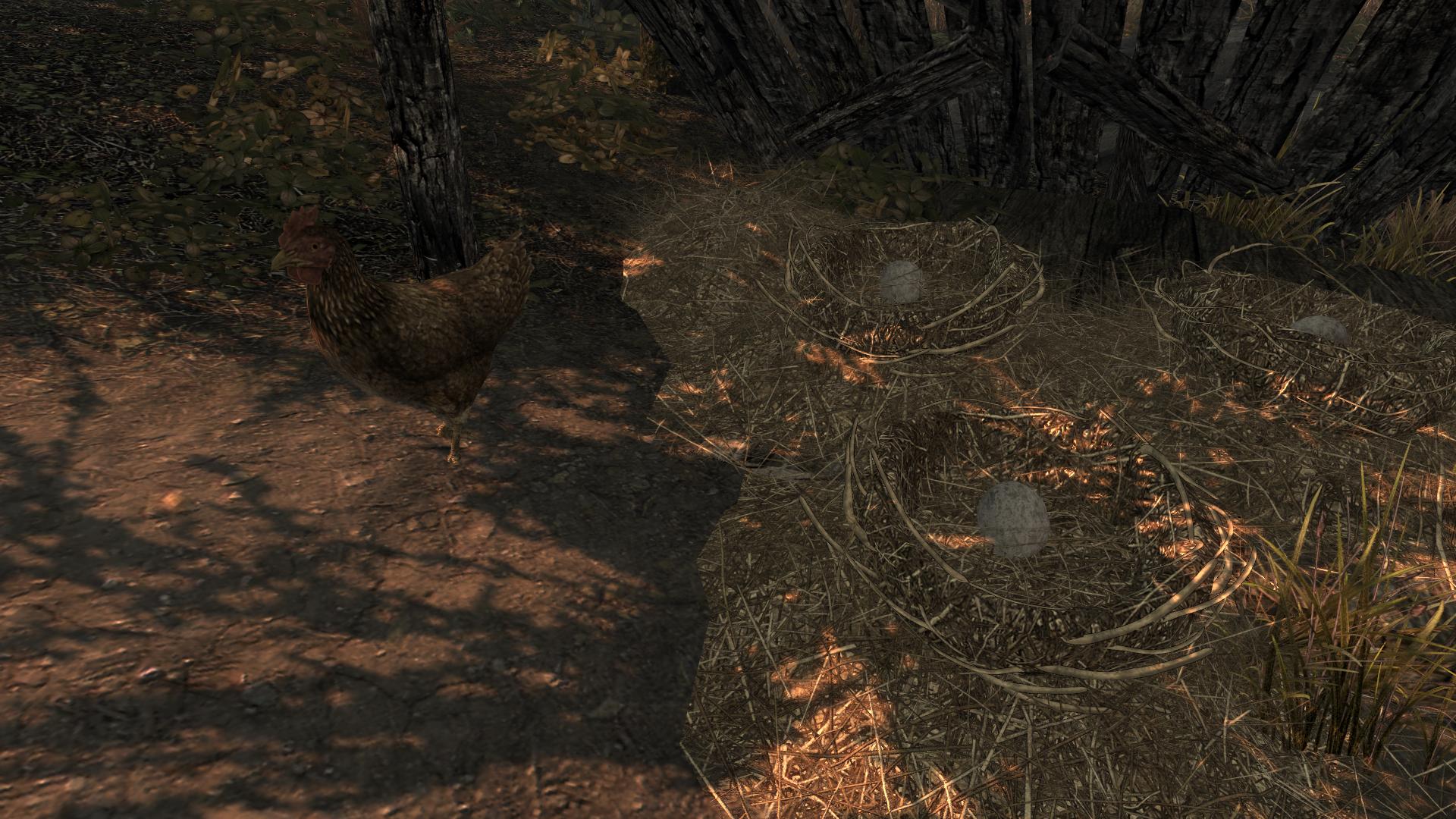 TESV 2012-04-04 02-24-30-88.jpg