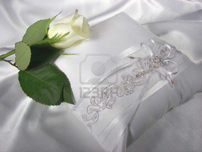 3104826-white-rose-on-pillow.jpg