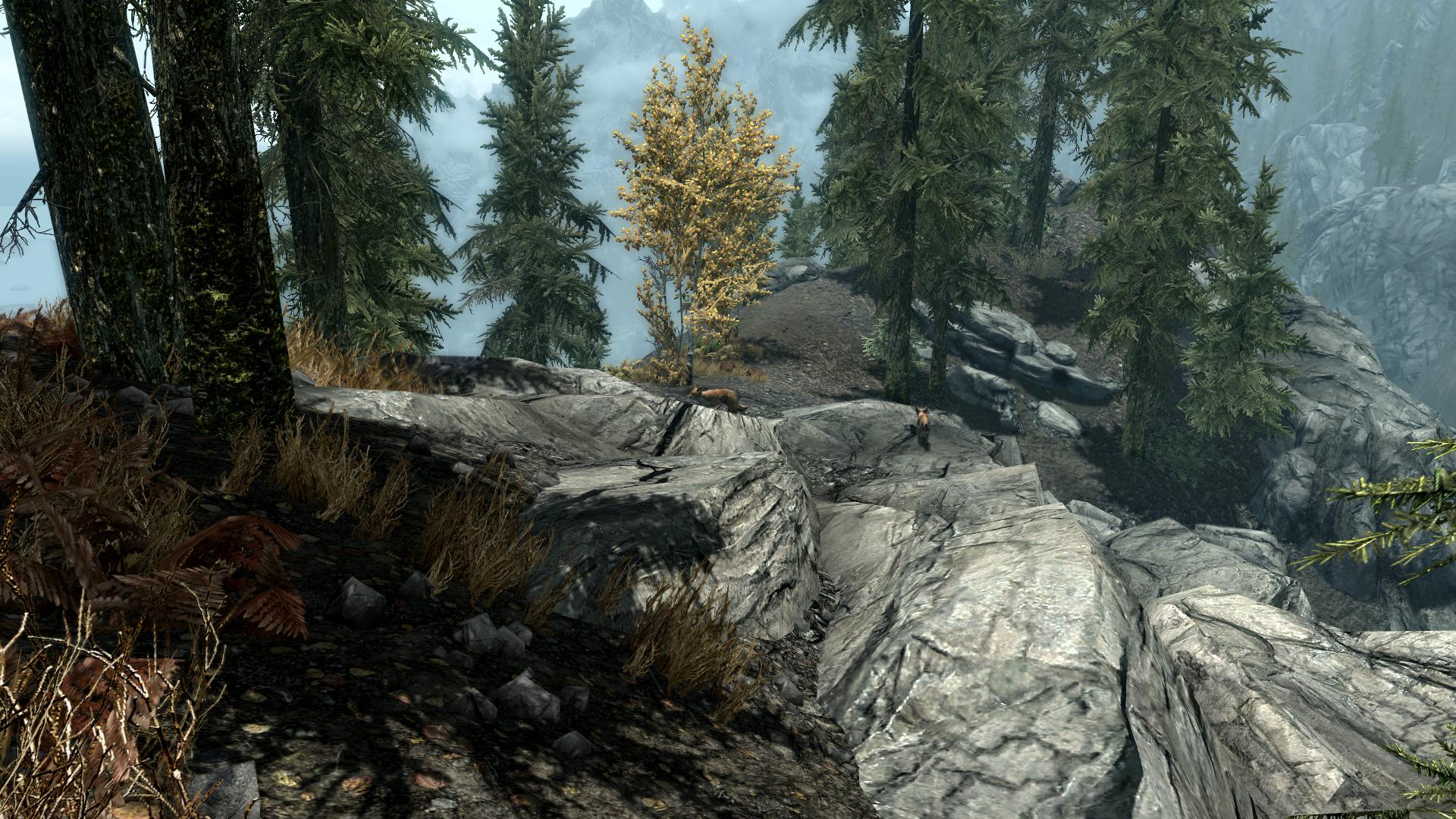 TESV 2012-04-22 22-39-53-20.jpg