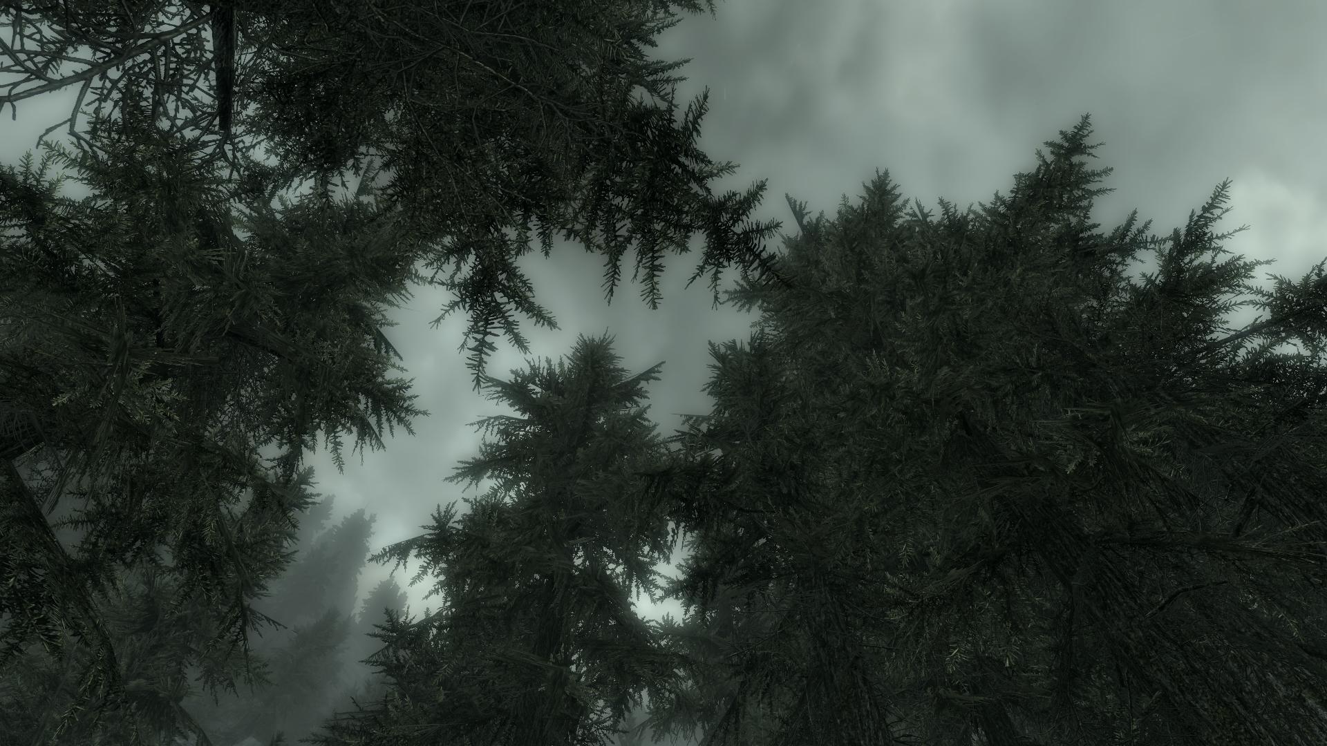 TESV 2012-05-09 00-17-10-35.jpg