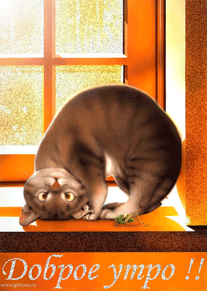 Коты макото мурамацу