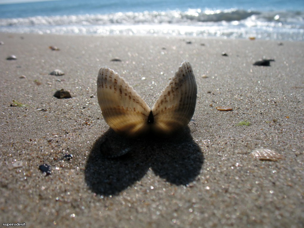 2012 , 09.05 часть 1 253о.jpg