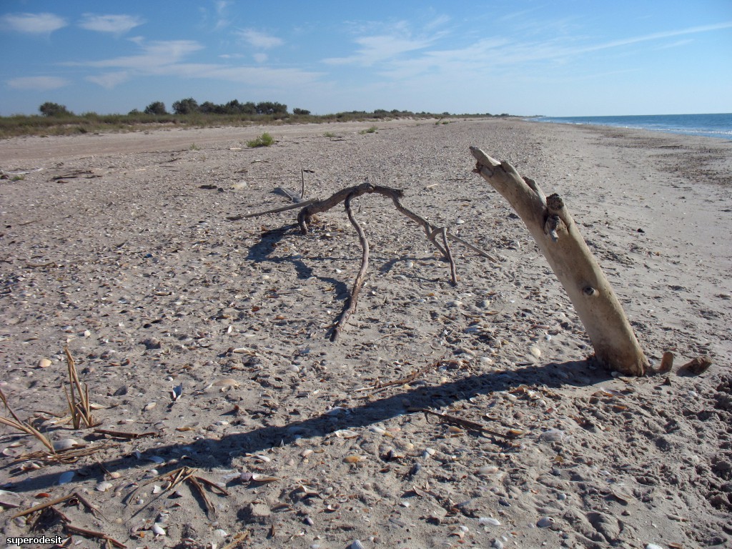 2012 , 09.05 часть 1 238о.jpg