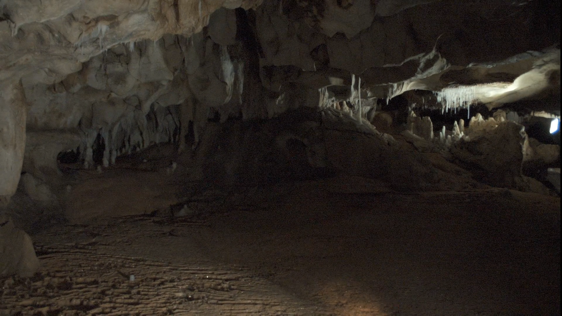 Cave of Forgotten Dreams 2011, BDRip 1080p.mkv_snapshot_00.36.12_[2013.01.29_14.59.09].png