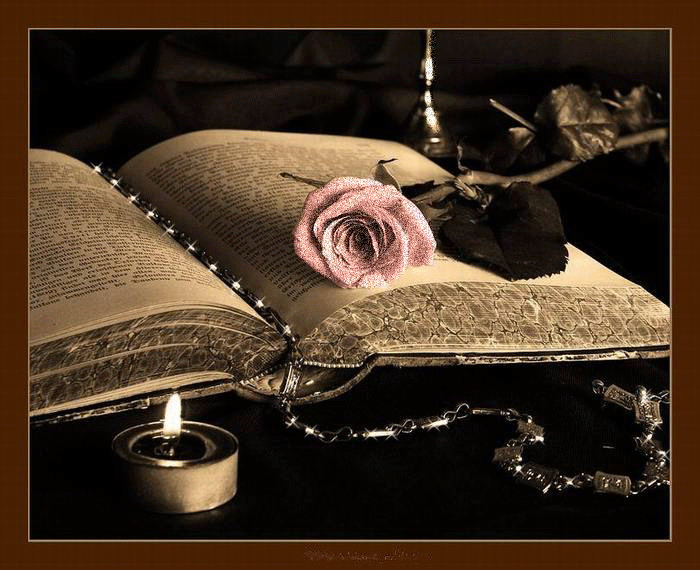 Книга и цветы