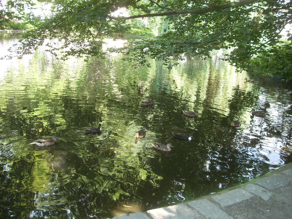 Фотографии